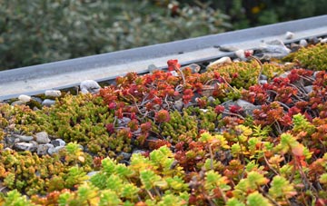 the cost of Grimister green roof installation