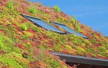 Grimister living roof systems